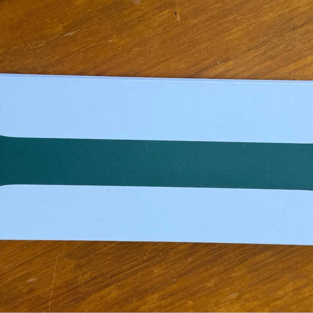 Apple Eucalyptus Solo Loop Band 45mm - Size 9